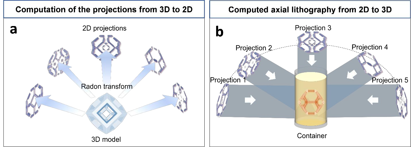 48. JianSu Sun, Di Wang, Xue Zhang, Haiyue Jiang*, Maobin Xie*, JiaQi Lü*. Projection algorithm and its optimizations for computed axial lithography: a review. International Journal of Bioprinting, 2024, 0, 5102